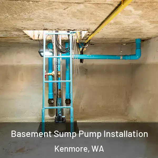 Basement Sump Pump Installation Kenmore, WA