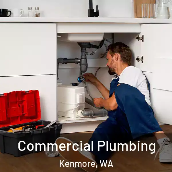 Commercial Plumbing Kenmore, WA