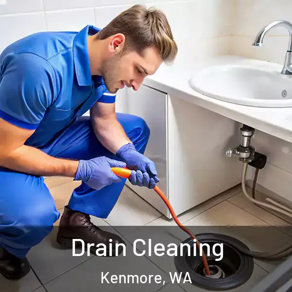  Drain Cleaning Kenmore, WA