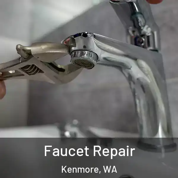  Faucet Repair Kenmore, WA