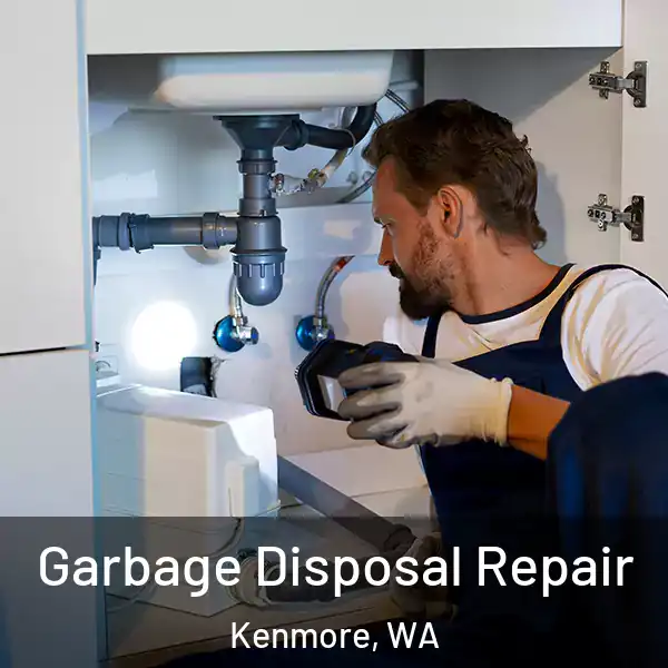  Garbage Disposal Repair Kenmore, WA