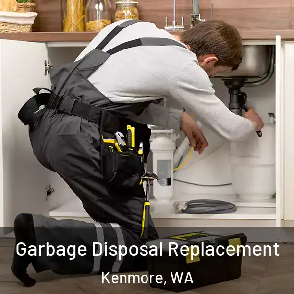  Garbage Disposal Replacement Kenmore, WA