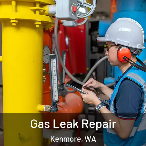  Gas Leak Repair Kenmore, WA