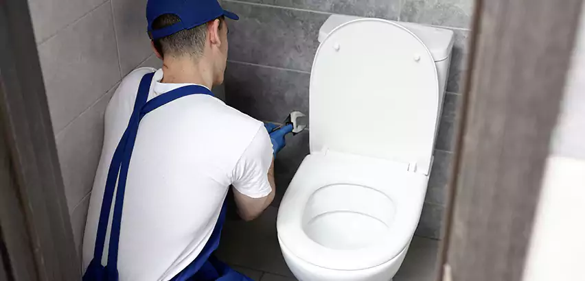 Toilet Lid Replacement in Kenmore