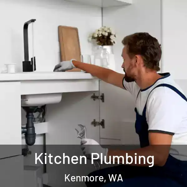  Kitchen Plumbing Kenmore, WA
