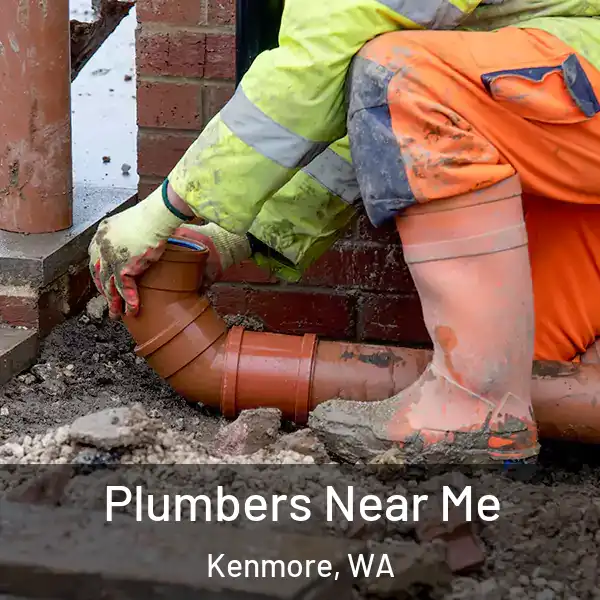  Plumbers Near Me Kenmore, WA