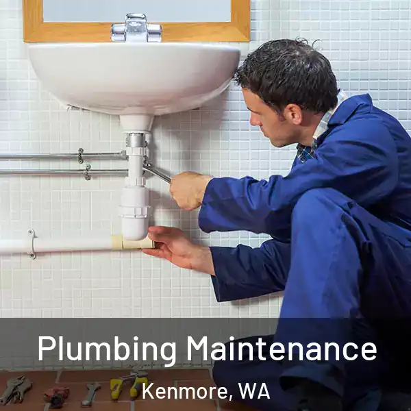  Plumbing Maintenance Kenmore, WA