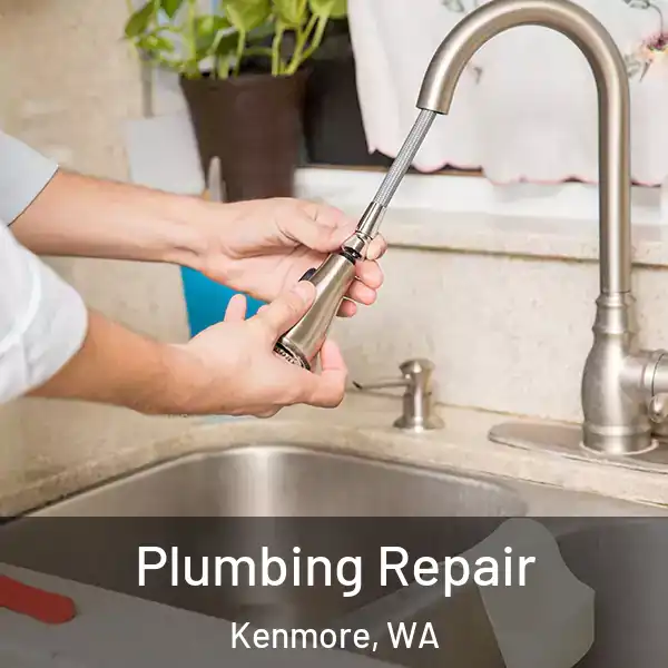  Plumbing Repair Kenmore, WA