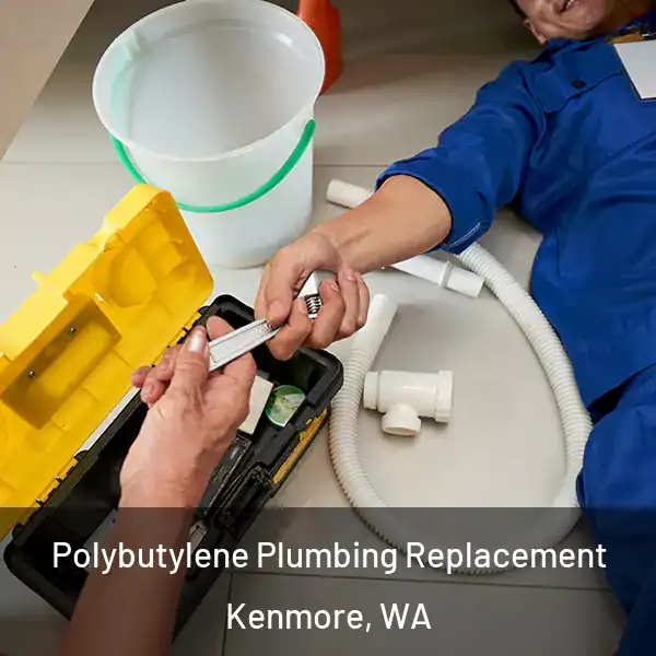  Polybutylene Plumbing Replacement Kenmore, WA