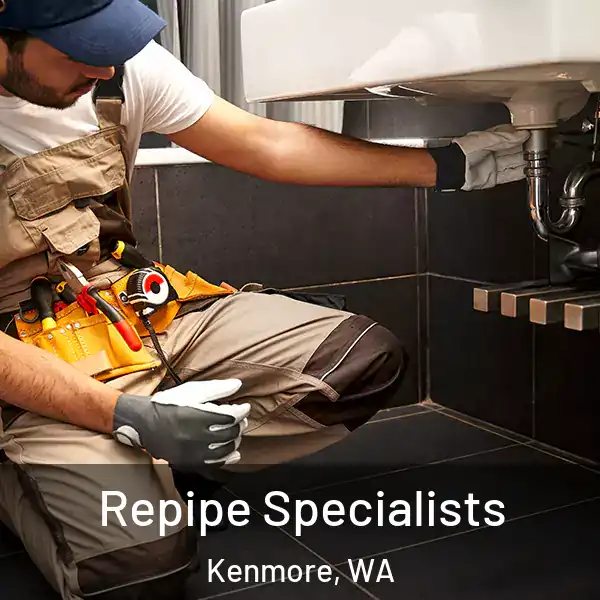  Repipe Specialists Kenmore, WA