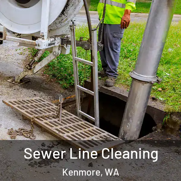  Sewer Line Cleaning Kenmore, WA