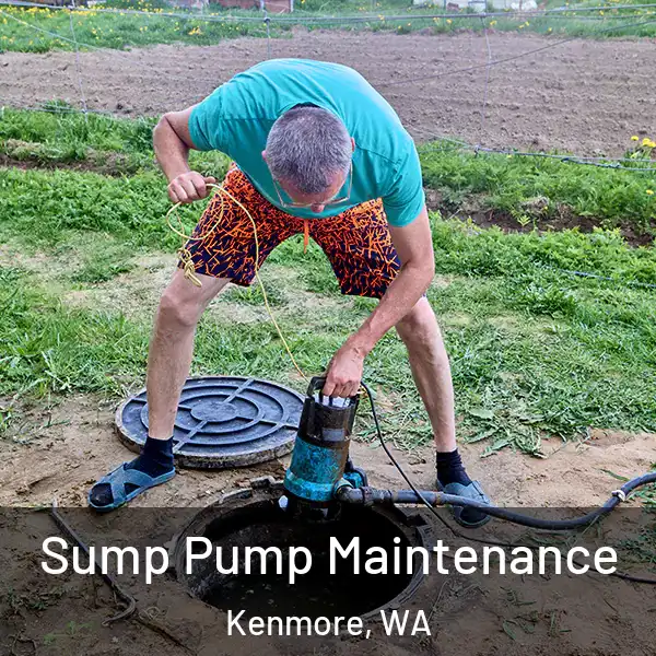  Sump Pump Maintenance Kenmore, WA