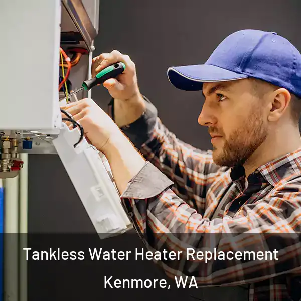  Tankless Water Heater Replacement Kenmore, WA