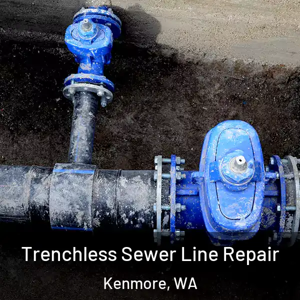  Trenchless Sewer Line Repair Kenmore, WA