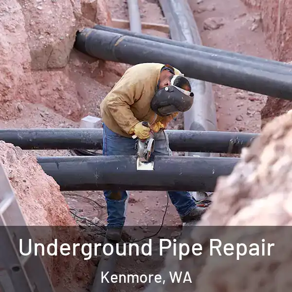  Underground Pipe Repair Kenmore, WA