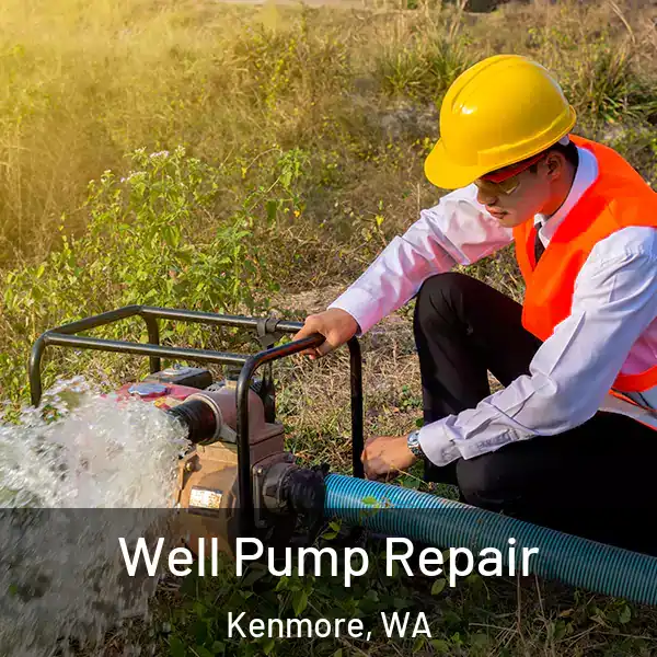  Well Pump Repair Kenmore, WA